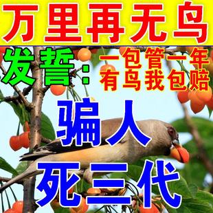 【鸟飞绝】驱鸟高效药农田水稻赶鸟神器果园家用阳台驱鸟剂香精包