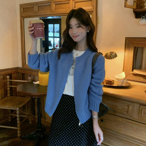SUSAN-颜色美到纠结早秋软糯双拉链韩系慵懒松弛感毛衣6291s