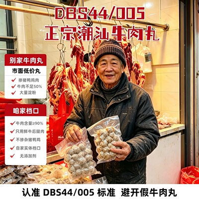 DBS44-005标准潮汕低脂纯牛肉丸