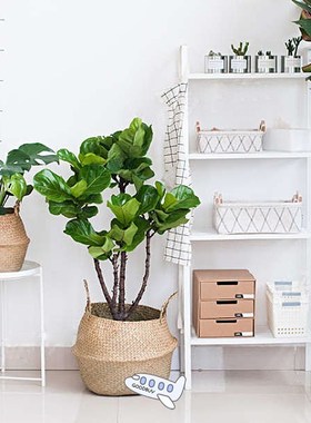 Household Foldable Natural Seagrass Woven Storage Baskets Ga