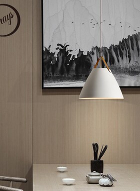 Modern simple black white pendant light E27 LED Nordic loft