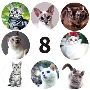 50-500pcs creative animals Cat stickers 1inch labels reward