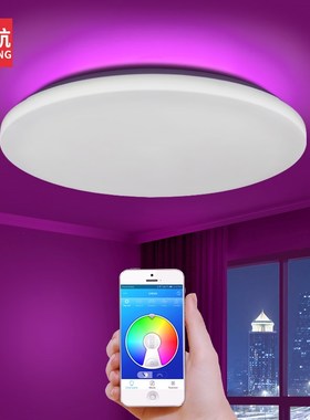 Modern LED Ceiling Light APP Control RGB Dimming Bluetooth S