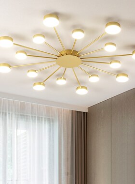 factory direct New led Chandelier  Living Room Bedroom Home