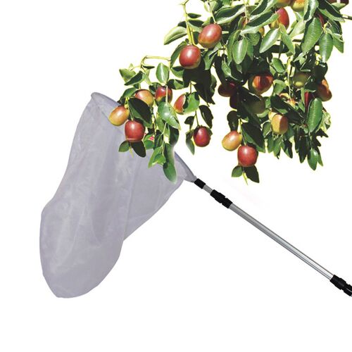 Extendable Butterfly Bee Insect Capture Net Aluminum Alloy P