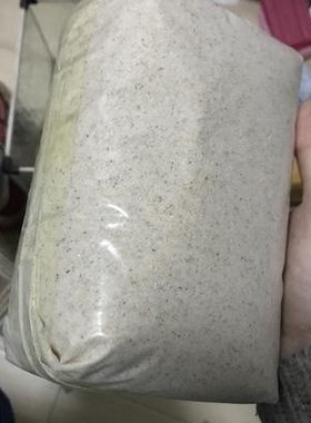 Turtles lay eggs fine rustle earth turtle hibernation sand