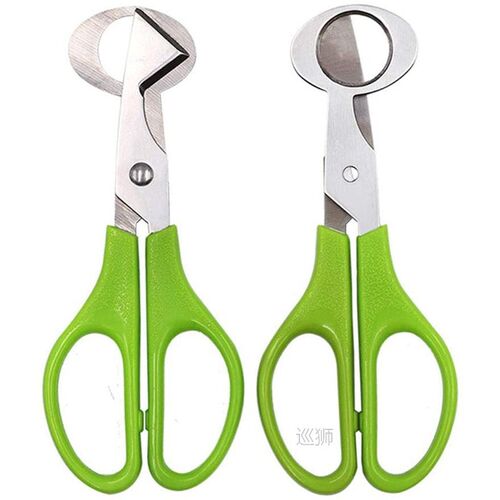 10PCS Stainless Steel Quail Egg Cutter Scissors Pigeon Bird