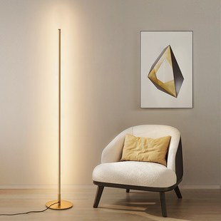 Promotion LED Floor Lamp Bedside Corner Decoration Stand Lig