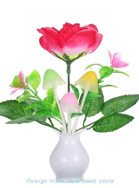 110-220V LED Flower Vase Potted Wall Lamp Night Light Sensit