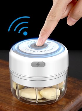 100/250ml Cordless Portable Electric Mini Food Chopper Garli