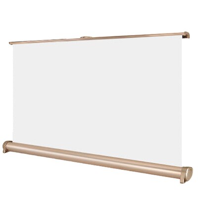 20 Inch Micro Projector Screen Foldable 169 Projection Scre