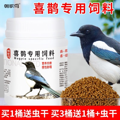 喜鹊饲料营养提性开口鸟食朝歌鸟