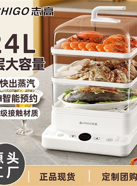 志高24升电脑版多功能不锈钢电蒸