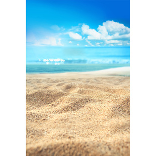 夏天季儿童海景实景系列影楼摄影背景布喵喵室内写真大海沙滩海边拍照海景布置背景儿童2024主题MH-0437