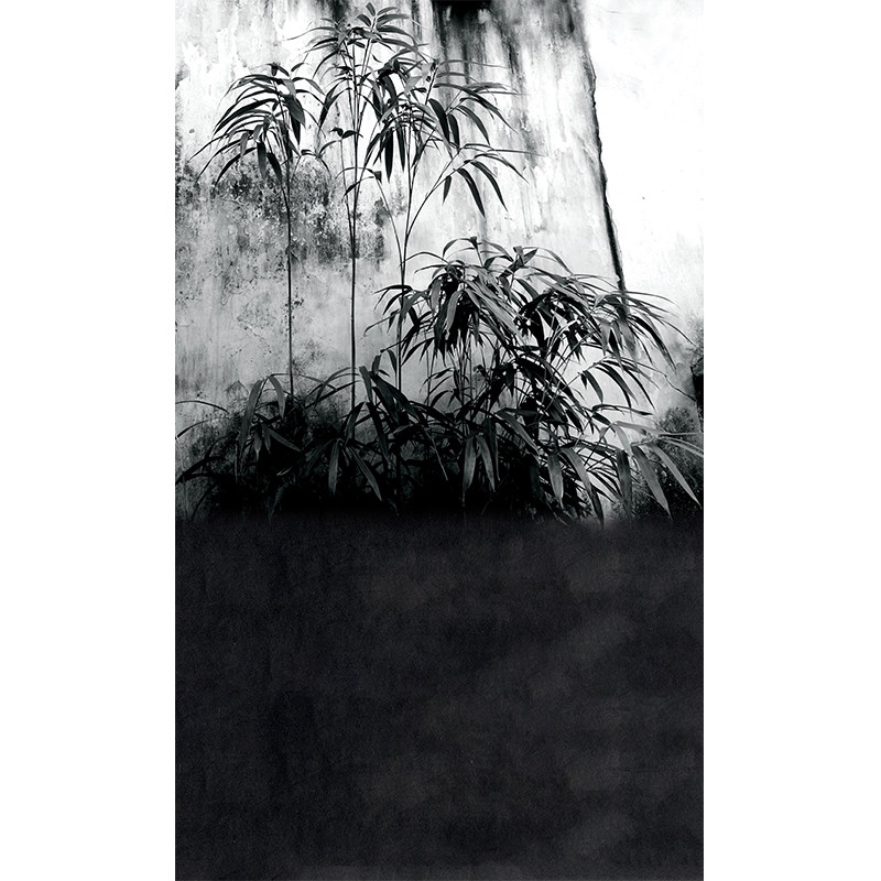 扎染油画国画素材高清古画山水工笔画水墨新中式国潮黑白竹林摄影艺术写真MH-0661