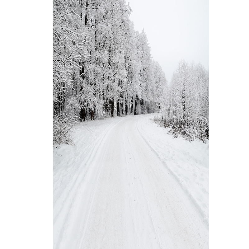 影楼冬天雪景淘宝冬季拍照背景雪山实景拍照摄影背景布婚纱影楼摄影背景布PP纸无纺布加厚卷发物无折痕