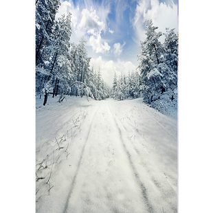 雪景背景布雪地圣诞主题背景室内拍照影棚实景背景布潮拍儿童无缝帆布幕布摄影棚影楼工作室