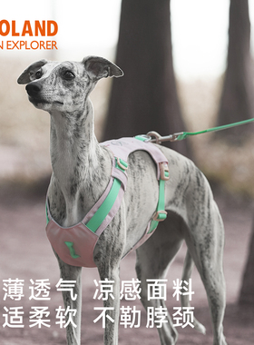 ZOOLAND狗狗胸背牵引绳子遛幼小中大型犬泰迪柯基比熊边牧博美用