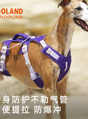 ZOOLAND狗狗胸背牵引绳小中大型犬遛狗可提拉防挣脱爆冲宠物链子