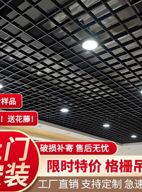 格栅吊顶材料自装铁铝网格装饰葡萄架塑料格子安装天花板简易吊顶