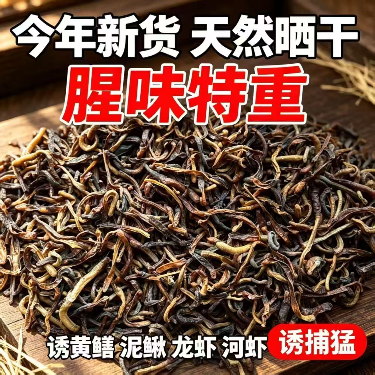 青蚯蚓干货整条饵料地龙地龙干新