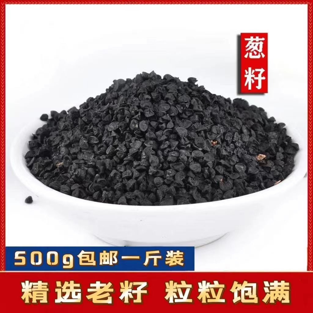 新货高产无农药正品葱子种中药材500g克葱子苗葱籽种冬季新鲜大葱