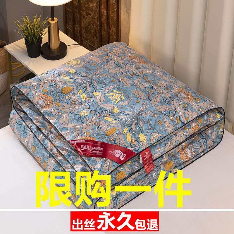 蚕丝被100桑蚕丝春秋被子被芯全棉夏凉被纯棉空调被单双人8斤冬被