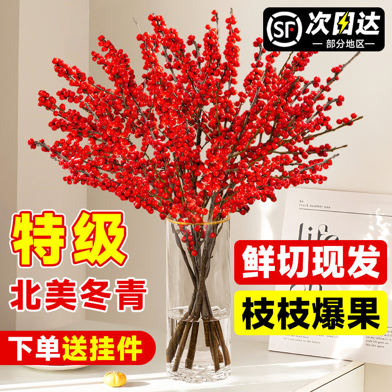 北美冬青红果真花鲜切枝水培红腊梅银柳过春节插花2026新年宵花卉