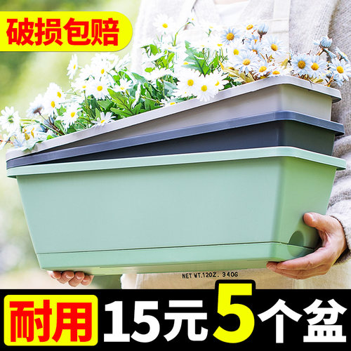 阳台种菜神器种菜盆塑料