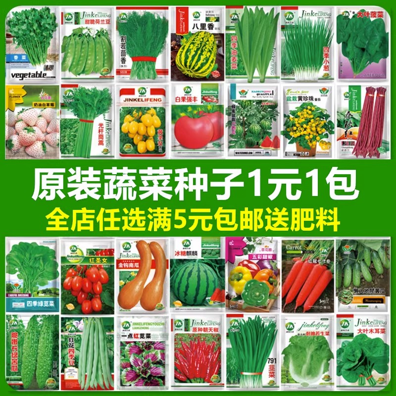 蔬菜种子阳台菜籽四季蔬菜大全菜种籽盆栽香菜冬季菜籽种草莓种孑