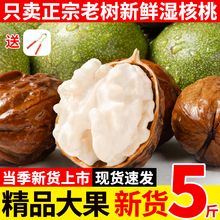 2025年新鲜湿核桃去青皮嫩核桃生核桃仁薄纸皮手剥核桃孕妇专用