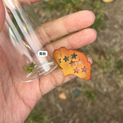 【秋天的浪漫】树叶枫叶手工diy制作打孔器五角星压花机拍照道具