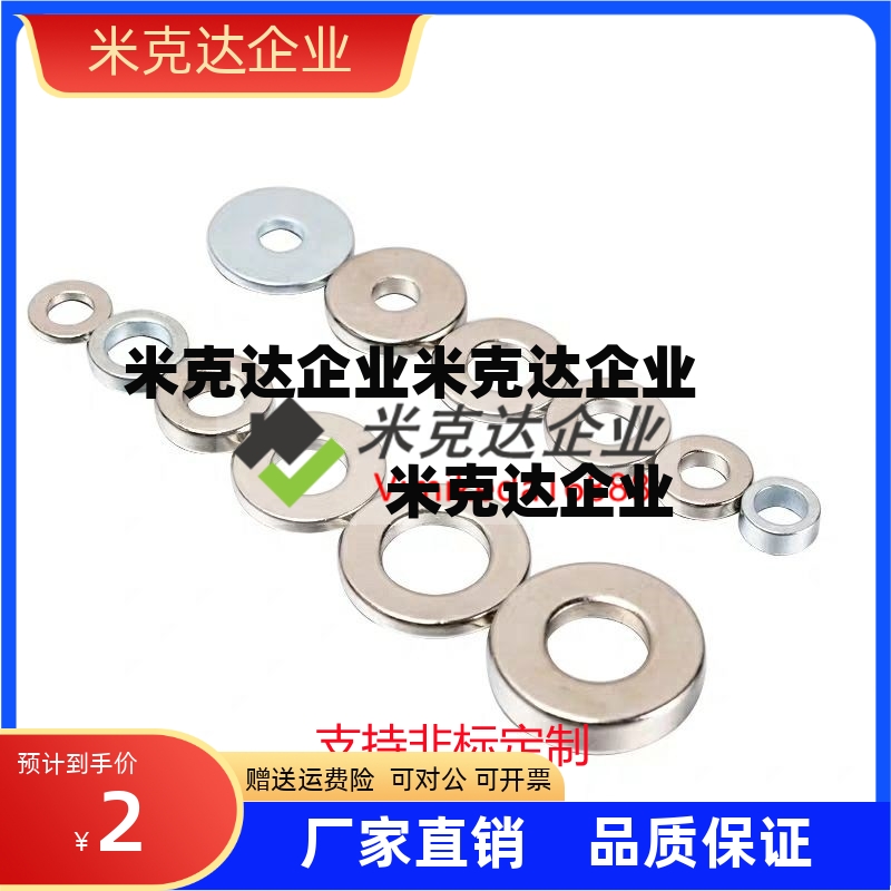 BLS41-D12-V4-T2环形磁铁