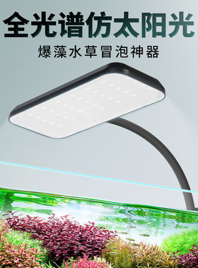 鱼缸灯led灯防水水草灯全光谱仿太阳光爆藻小型射灯鱼缸观赏冒泡