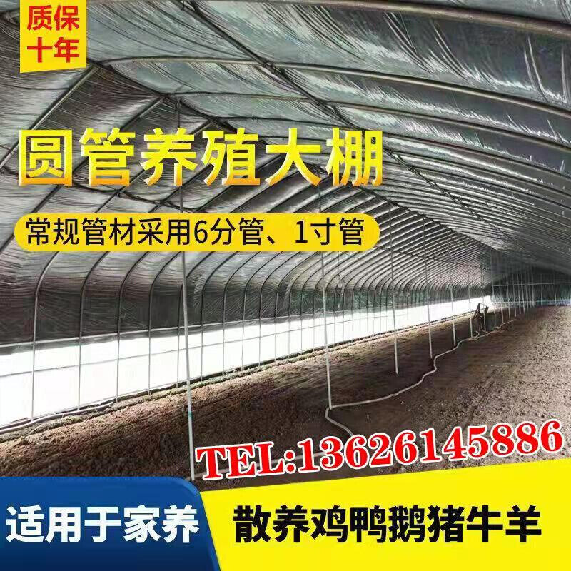 温室大棚骨架钢管定制蔬菜种植养殖养鸡简易农业连体连栋钢架配件