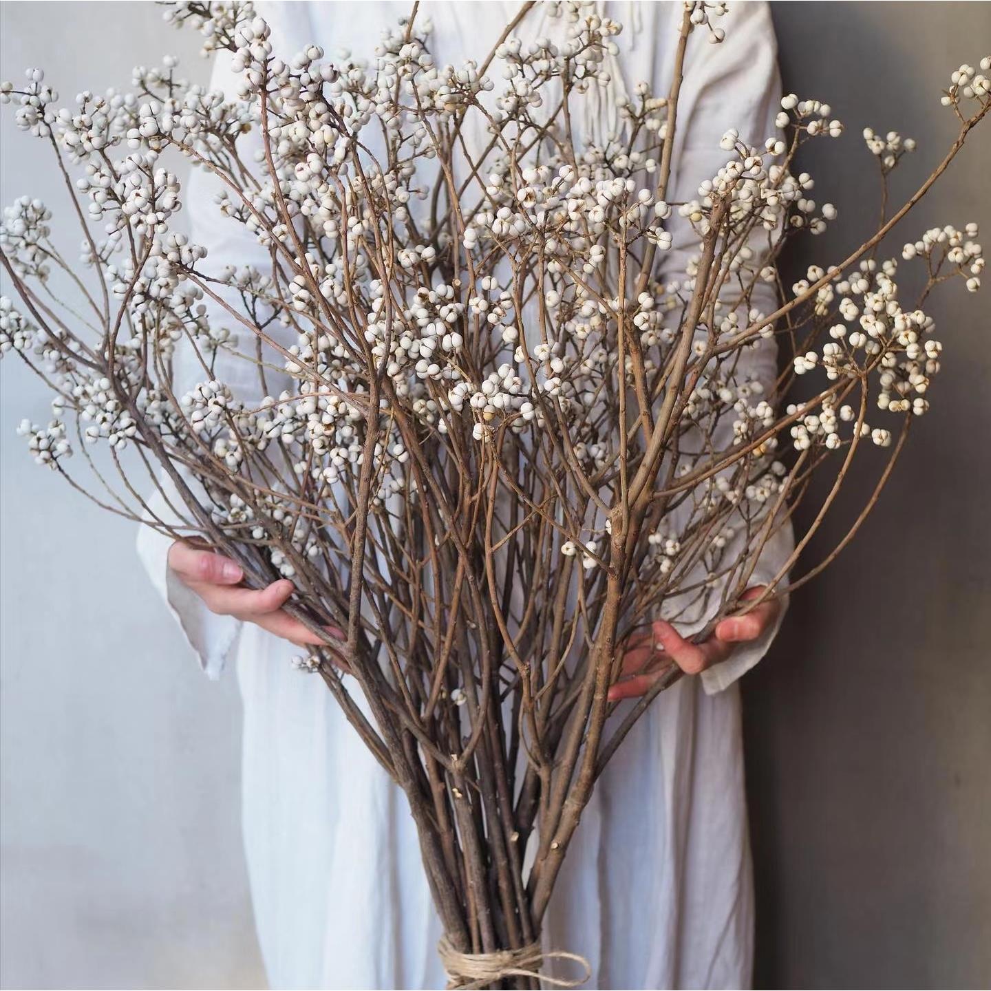 天然树枝树干装饰侘寂风干花高级感真花民宿插花摆件乌桕果小白果