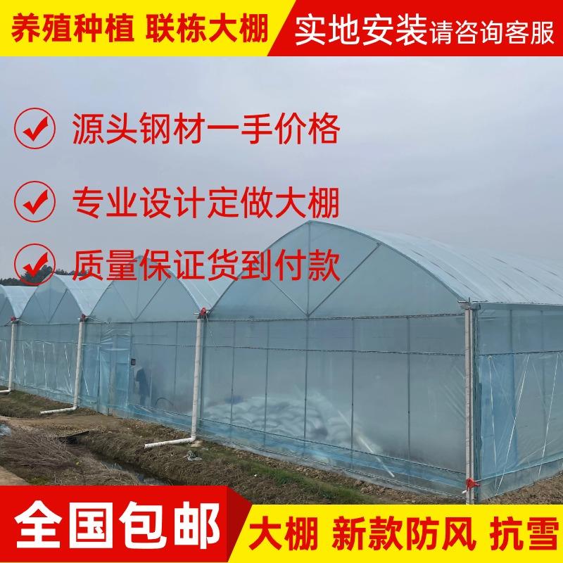 温室工程联栋大棚设计制作安装养殖棚种植棚半坡连栋棚钢架大棚