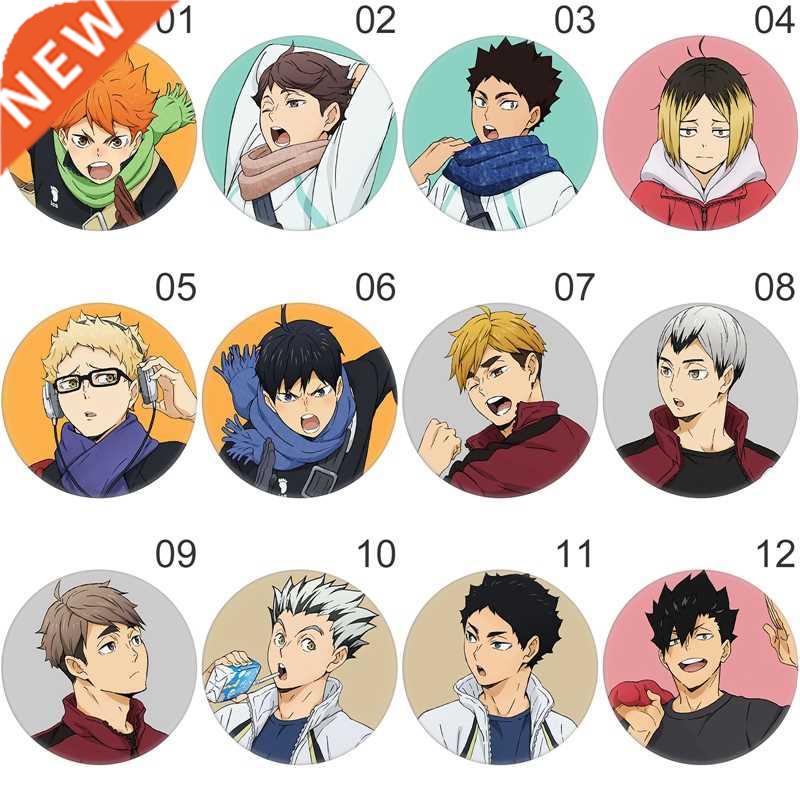 Haikyuu!! Cosplay Badges Hinata Shoyo Brooch Pins Anime Voll