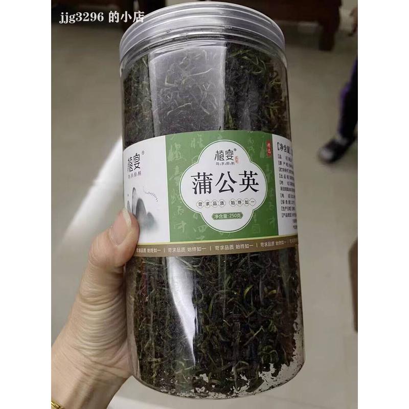 【现货】大促植宴蒲公英茶正品野生整根茶叶新