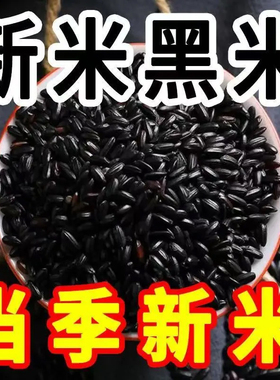 黑米新米杂粮东北农家自产黑香米五谷杂粮黑米粥八宝粥糯米杂粗粮
