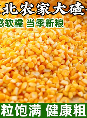 东北玉米糁颗粒饱满小颗粒易煮熟香甜软糯家用杂粮棒子大碴子汤饭