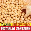 新货黄豆新鲜大豆非转基因黄豆大豆子豆浆原料五谷营养早餐
