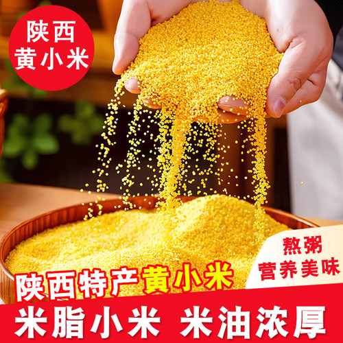 新鲜黄小米陕西农家优质黄小米月子米新米煮粥熬米油五谷杂粮香糯