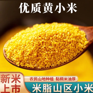 陕西黄小米新米新鲜黄小米煮粥早餐五谷杂粮农家糯小米米油丰厚