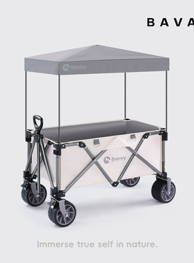 Bavay北欢聚拢款野营推车专用遮阳防晒顶棚户专用配件便携遮阳篷