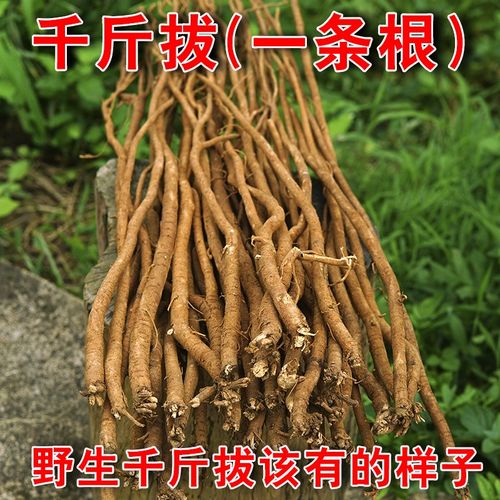 野生千斤拔500g千金拔一条根钻F地风材无添加干货泡酒煲汤料