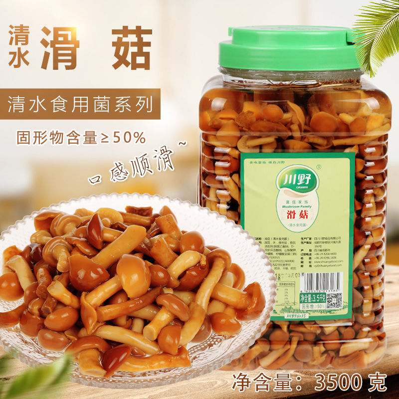 川野滑菇【3500gp】新鲜滑子菇山珍菌野山菌珍珠菇滑菇蘑菇包邮