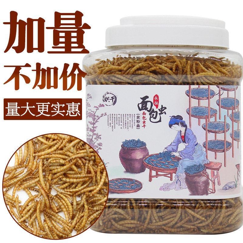 龙鱼饲料面包虫大麦虫