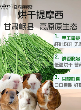 新烘干提摩西草荷兰猪侏儒兔专用苜蓿干草北提草段宠物粮饲料牧草
