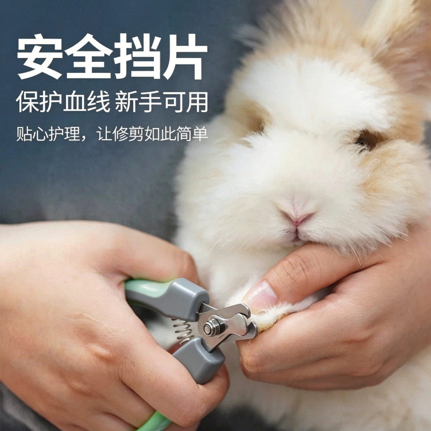 童话世界牧场小猫咪狗狗指甲剪刀小宠兔子专用指甲钳神器动物用品